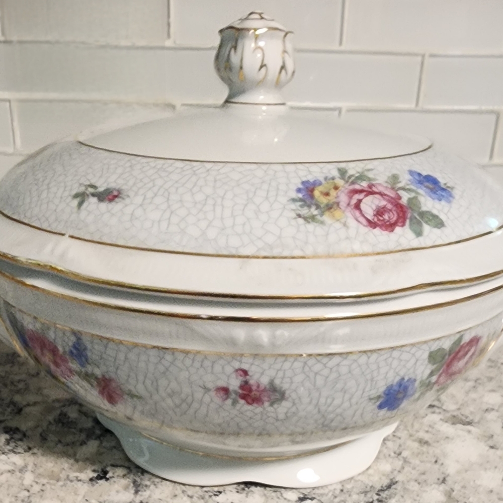 Bavarian Porcelain Serving Bowl.